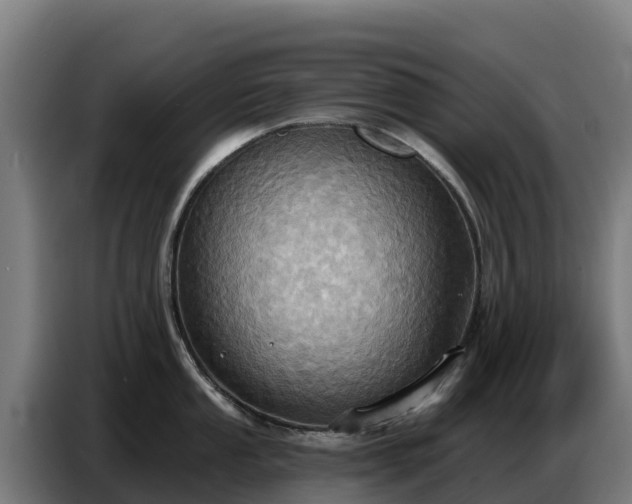 X0000086751053200704201721