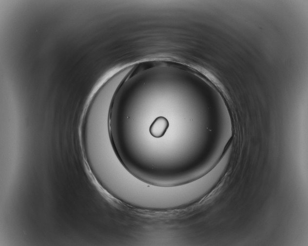 X0000086751054200704201721