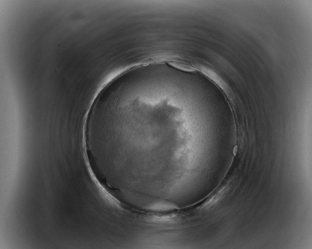X0000086751055200704201721