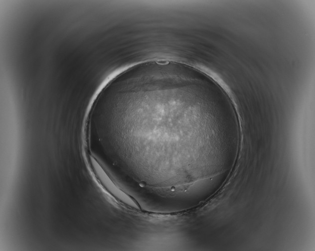 X0000086751056200704201721