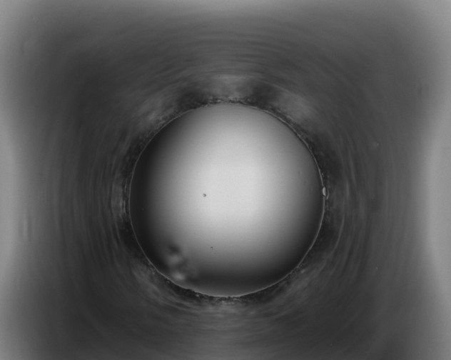 X0000086751058200704201721
