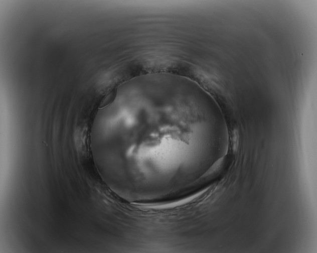 X0000086751059200704201721