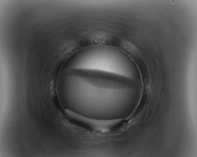 X0000086751060200704201721