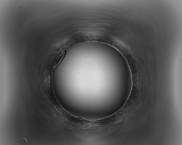 X0000086751061200704201721