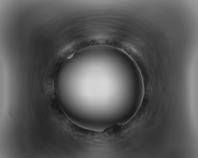 X0000086751062200704201721