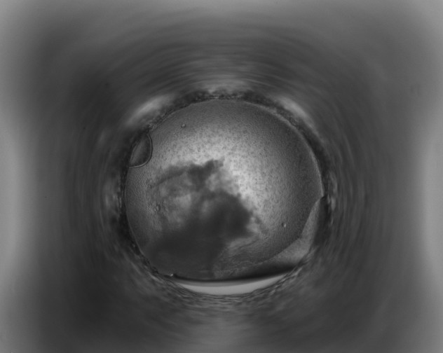 X0000086751063200704201721