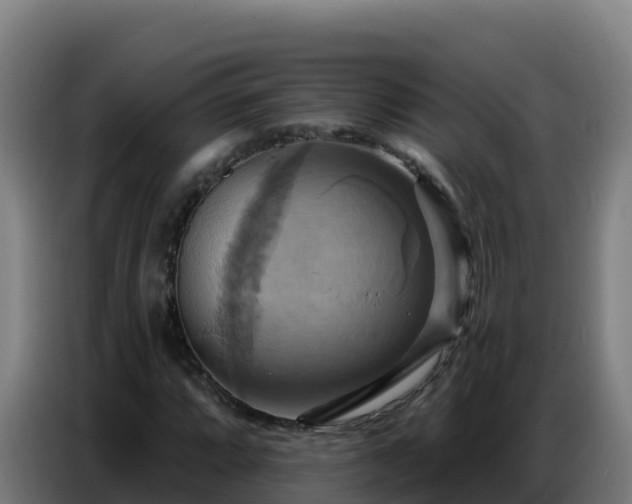 X0000086751064200704201721