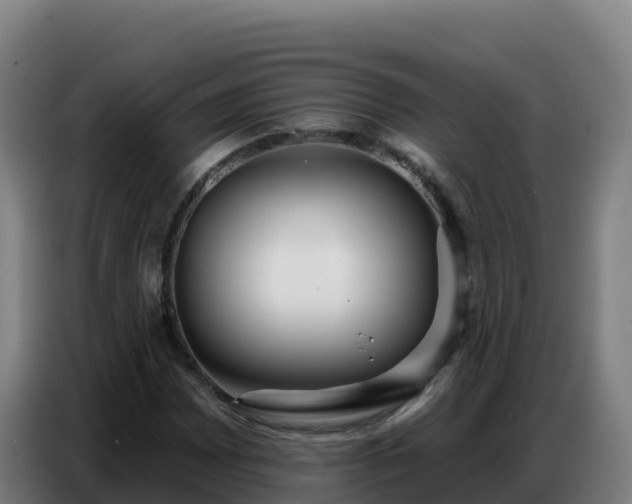 X0000086751065200704201721