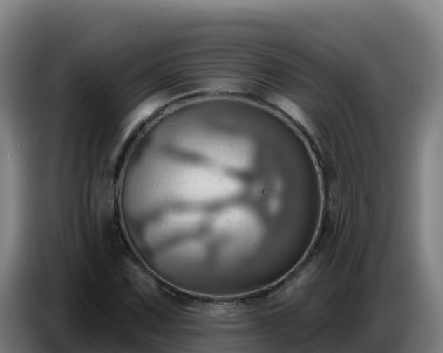 X0000086751067200704201721