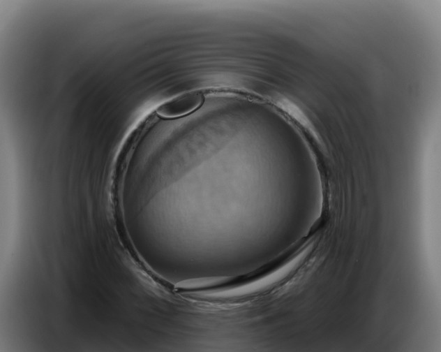 X0000086751068200704201721