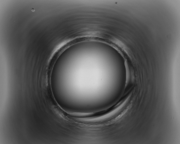 X0000086751069200704201721