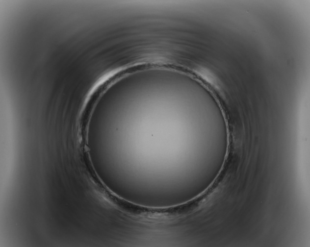 X0000086751070200704201721