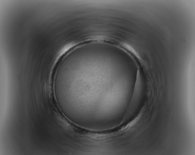 X0000086751071200704201721