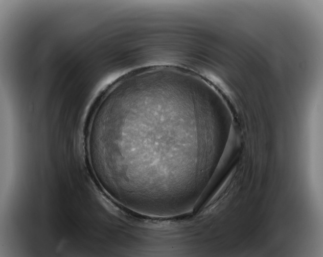 X0000086751072200704201721