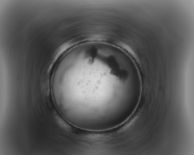 X0000086751075200704201721