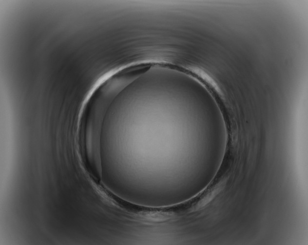X0000086751077200704201721