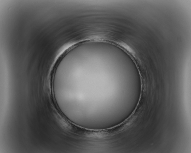 X0000086751078200704201721