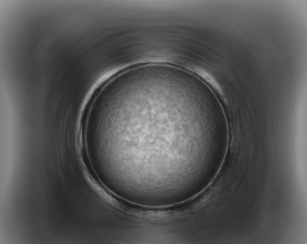 X0000086751080200704201720