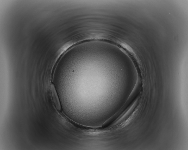 X0000086751081200704201720