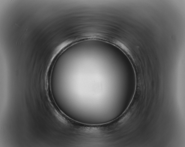 X0000086751082200704201720
