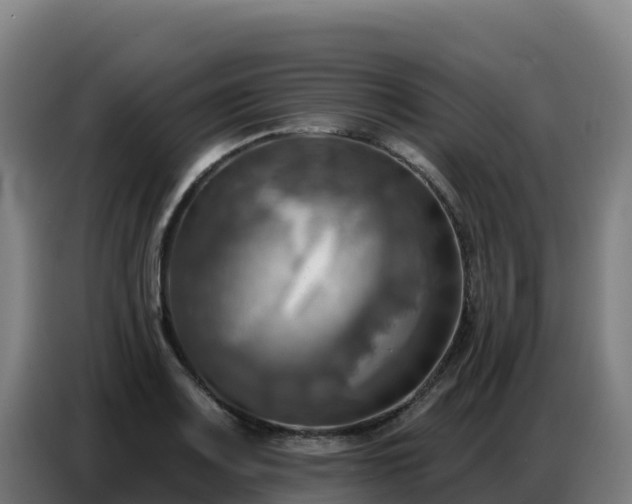 X0000086751083200704201720