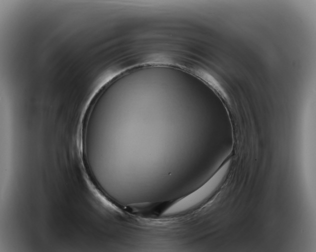 X0000086751084200704201720