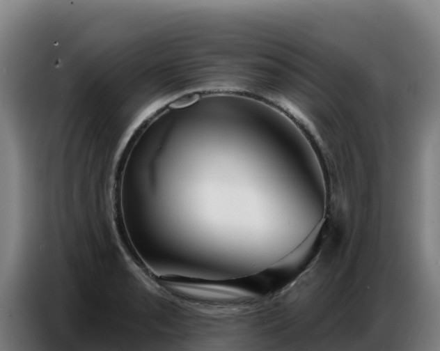 X0000086751085200704201720