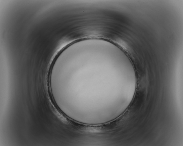 X0000086751086200704201720