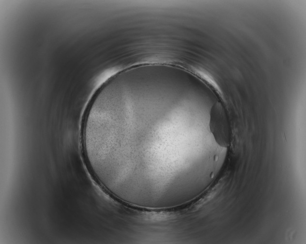 X0000086751087200704201720