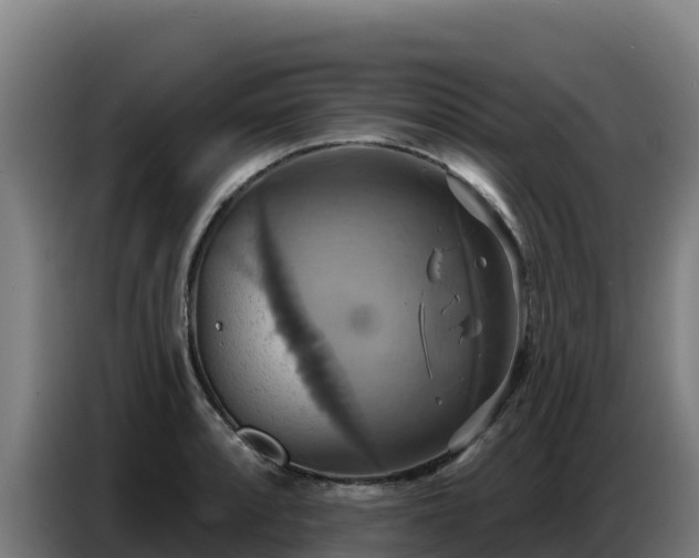 X0000086751088200704201720