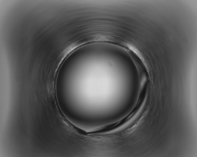 X0000086751089200704201720