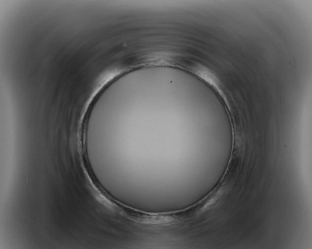 X0000086751090200704201720
