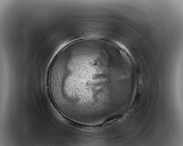 X0000086751091200704201720