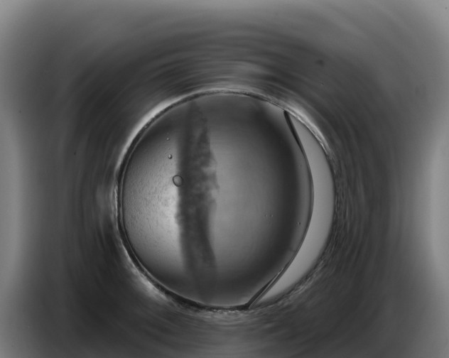 X0000086751092200704201720