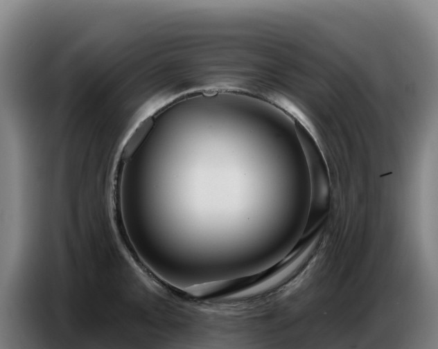 X0000086751093200704201720