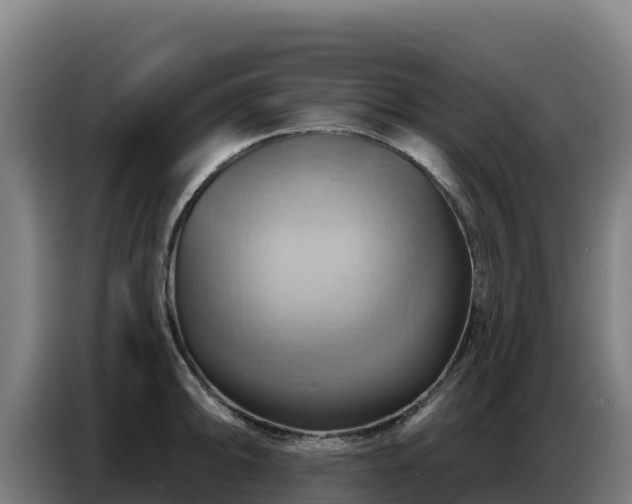 X0000086751094200704201720