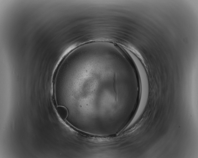 X0000086751095200704201720