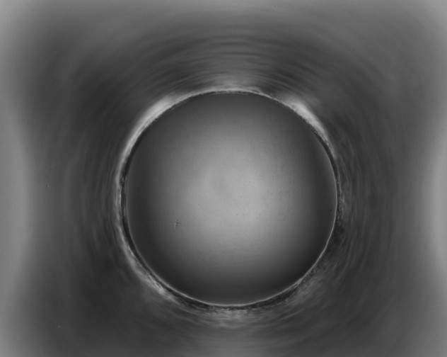 X0000086751096200704201720
