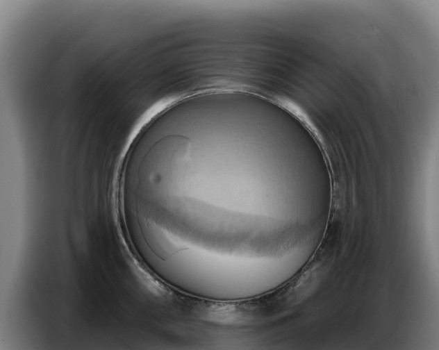 X0000086751098200704201720