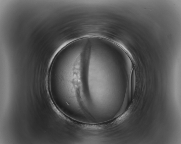 X0000086751100200704201720
