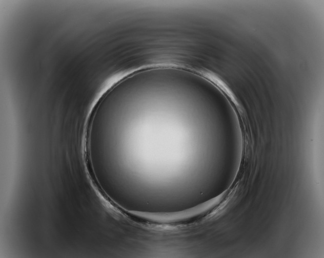 X0000086751101200704201720