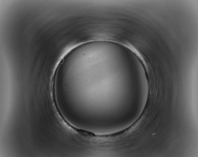 X0000086751102200704201720