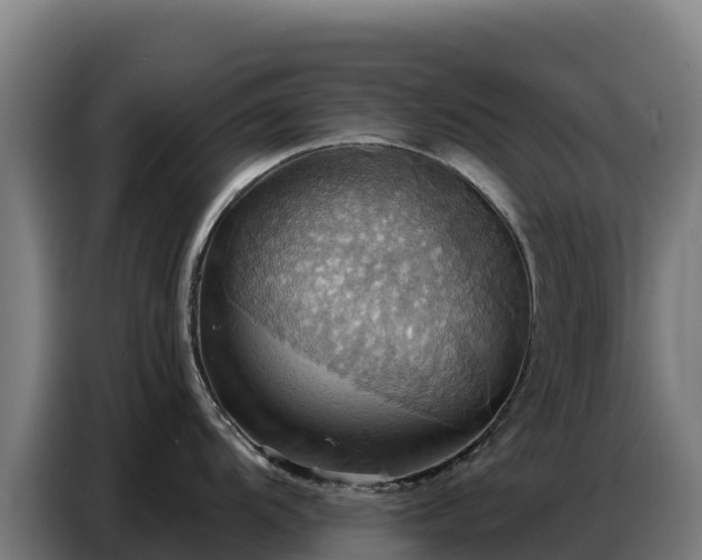 X0000086751104200704201720