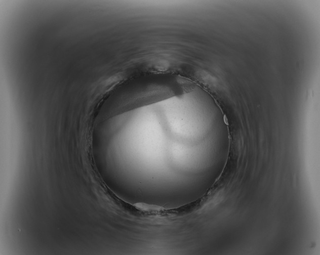 X0000086751105200704201720
