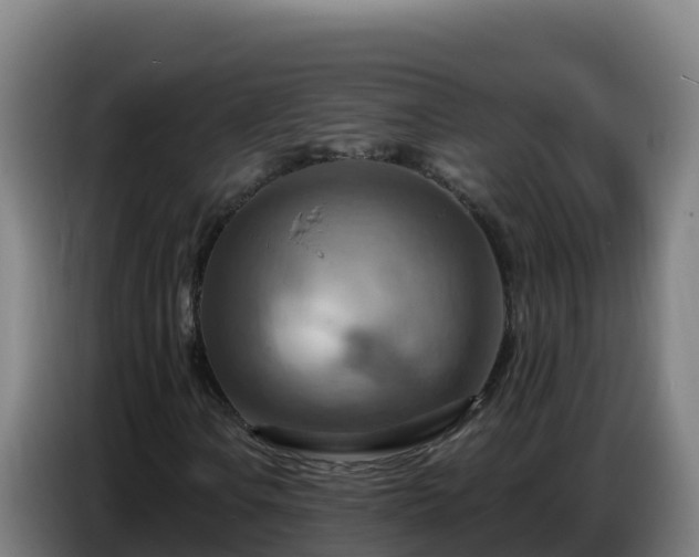 X0000086751106200704201720