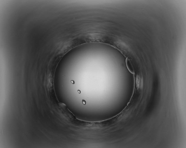 X0000086751107200704201720