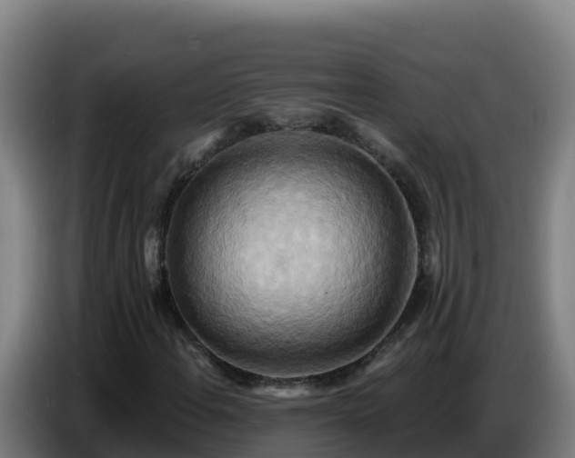 X0000086751108200704201720