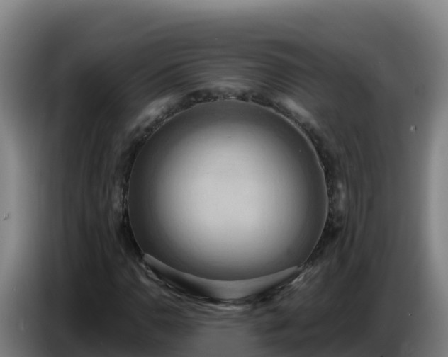 X0000086751110200704201720