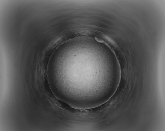 X0000086751111200704201720