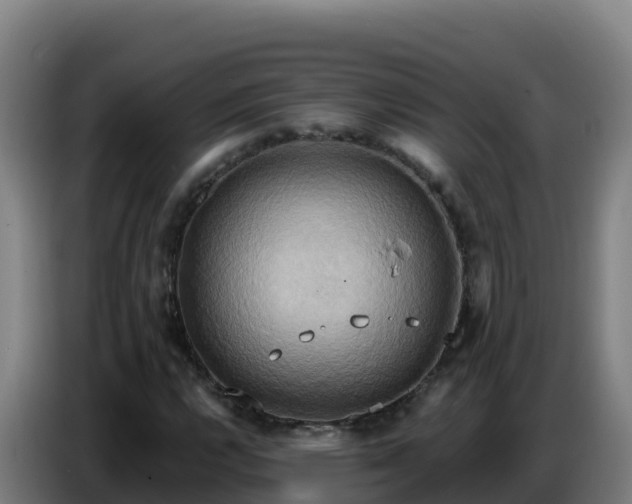 X0000086751112200704201720